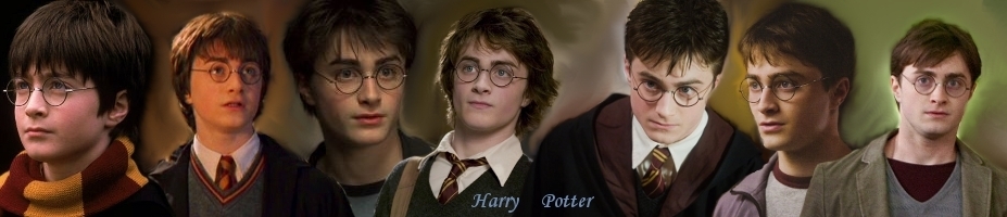harry-potter-through-the-ages-harry-james-potter